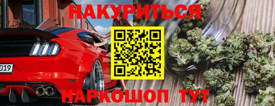 прущие грибы Ачхой-Мартан