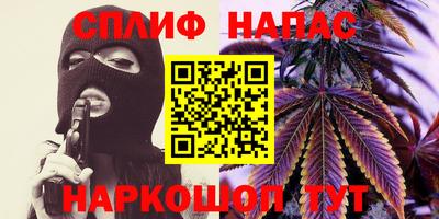 прущие грибы Ачхой-Мартан