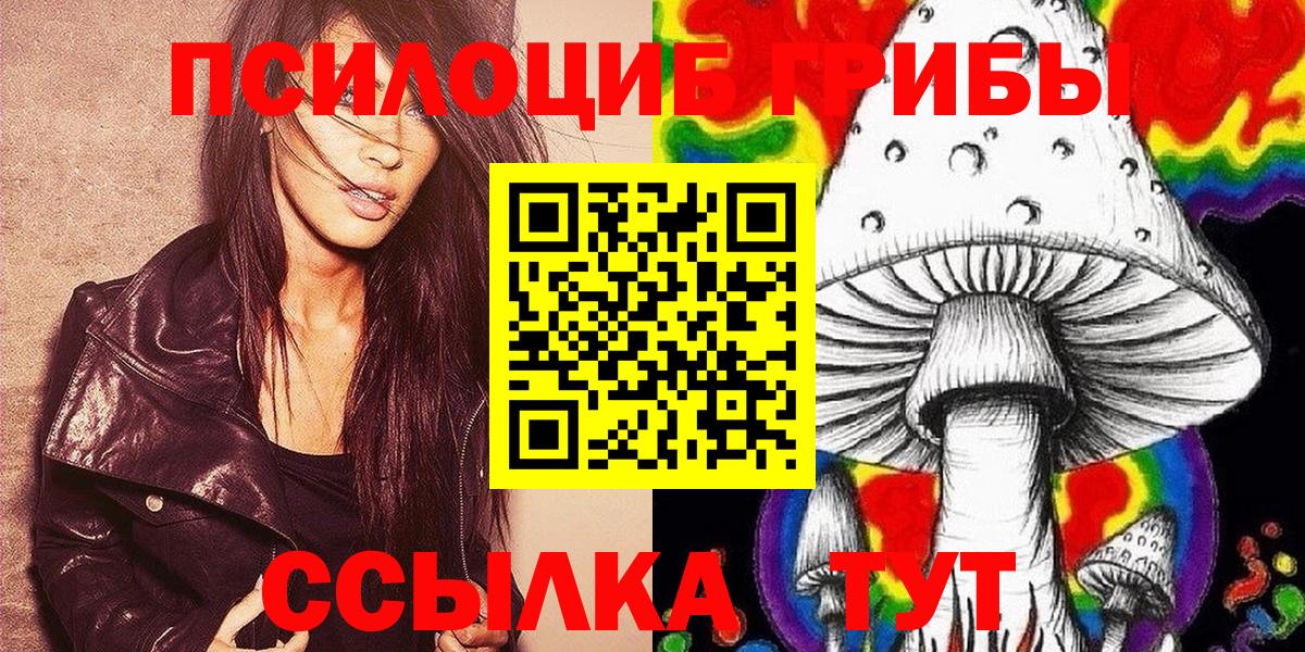 Алексин  Галлюциногенные грибы прущие грибы  как найти наркотики  Вход с VPN 